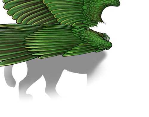 fruitdove female.png