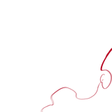 5162E5AB76A61D747764BBF9F4490813