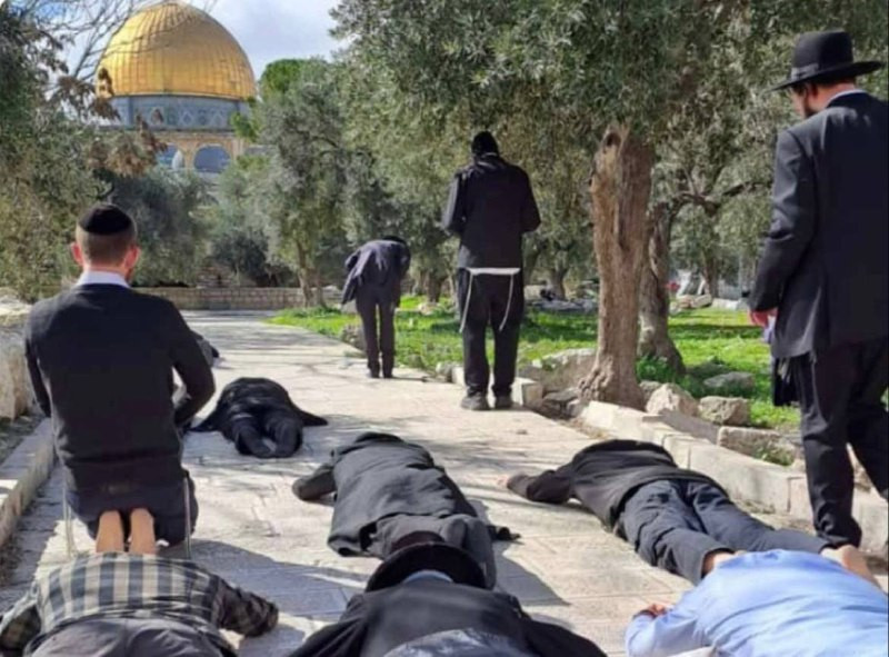 صورة | مستوطنون يؤدون سجودًا ملحميًا خلال اقتحامهم المسجد الأقصى المبارك اليوم...