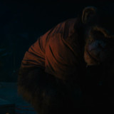 Primate.2025.2160p.iT.WEB DL.CZ EN.DD+5.1.Atmos.DoVi.HDR10+.H.265 BYNDR.mkv 20260210 144819.039