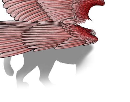 spoonbill female.png