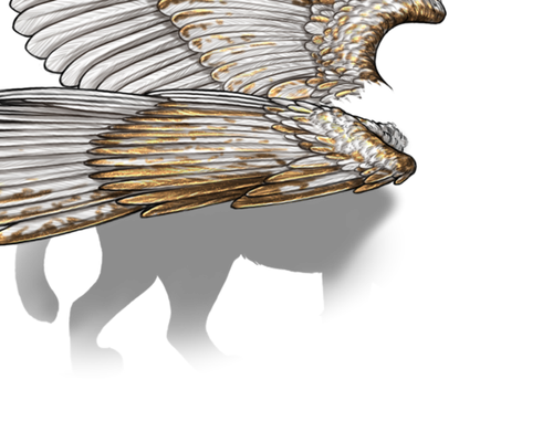 white gold female.png