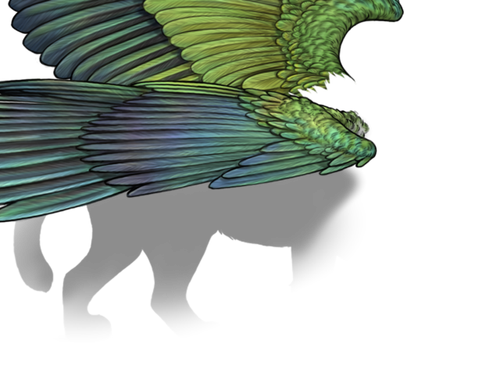 parakeet female.png