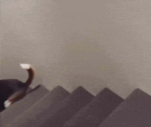 fyJonfI.gif