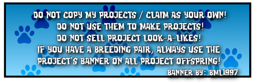 beetriz registry in blue