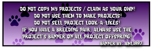 beetriz registry in purple