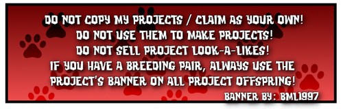 beetriz registry in red