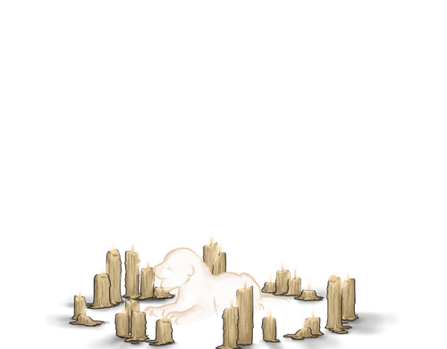 tigon candles cub N.png