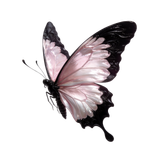 梦幻岛素材店铺微信mhdsc888 (262)