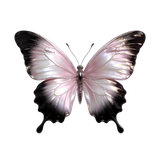 梦幻岛素材店铺微信mhdsc888 (264)