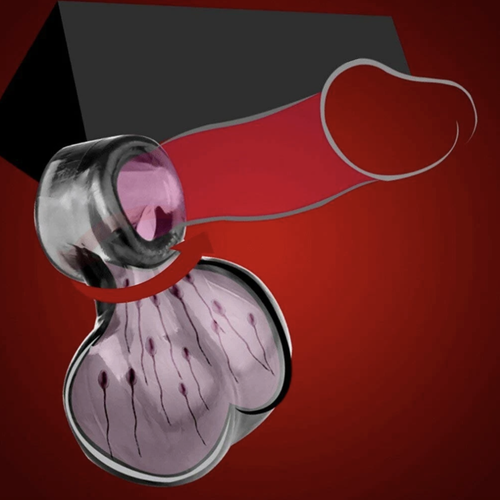 Знімок екрана 2026 02 10 о 15.54.21.png