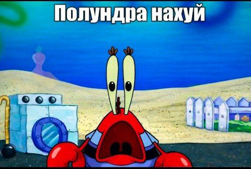 IMG 20260211 020834 258.jpg