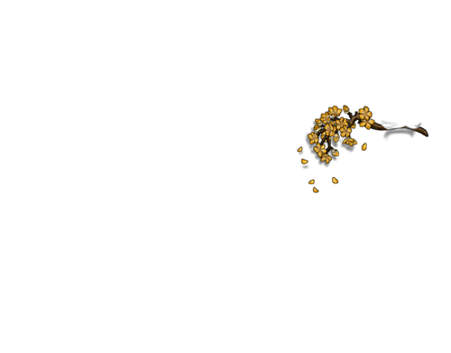 dandelion female.png