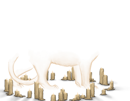 tigon candles adult female