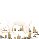 tigon candles adult female