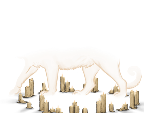 tigon candles adult male