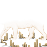 tigon candles adult male