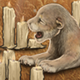 tigon nat candels thumb