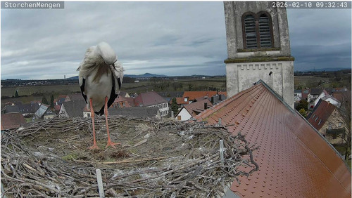 MWSnap105.jpg