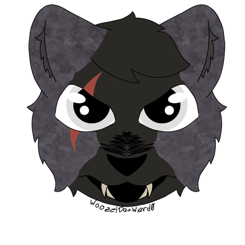 Untitled4 20260210193158.png