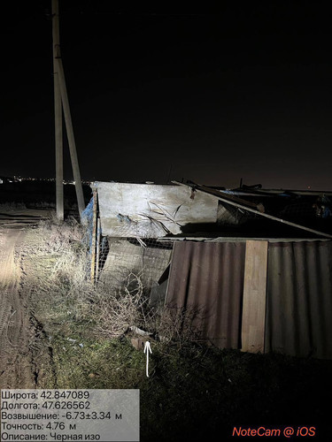 photo 1 2026 02 11 04 44 13.jpg