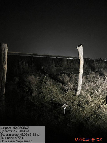 photo 6 2026 02 11 04 44 13.jpg