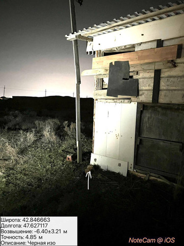 photo 2 2026 02 11 04 44 13.jpg