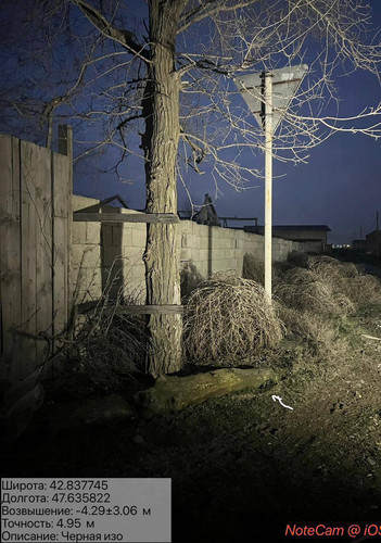 photo 19 2026 02 11 04 44 13.jpg