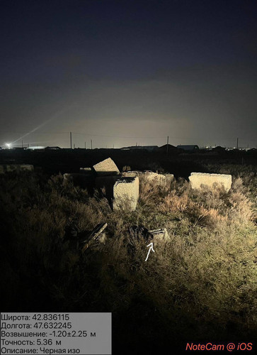 photo 16 2026 02 11 04 44 13.jpg