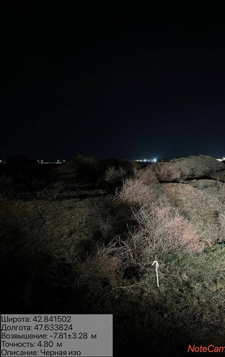 photo 12 2026 02 11 04 44 13.jpg