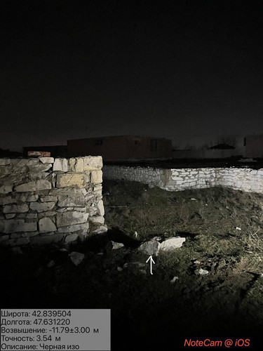 photo 10 2026 02 11 04 44 13.jpg