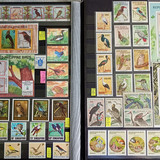 1b
