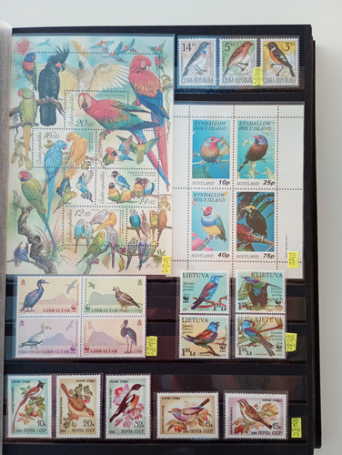 3p