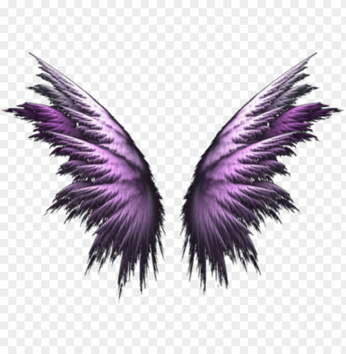 angel wings png purple angel wings 11562981953xil9watuwa.png