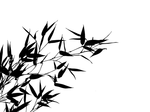 Camera XHS 17707386056231040g0083190l3g7p3u4g5p4ublek3ng9dsva4e0.png