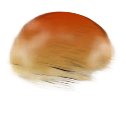 IMG 20260211 024800.png