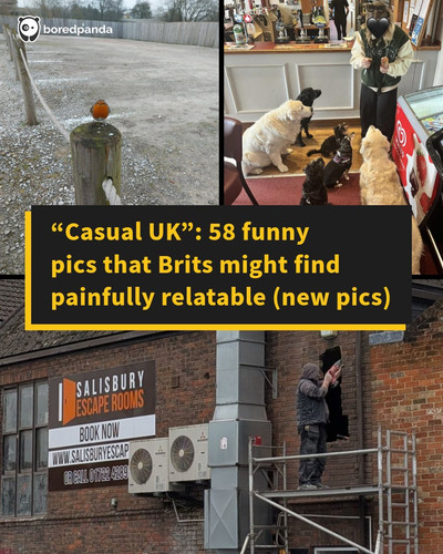 funny uk.jpg