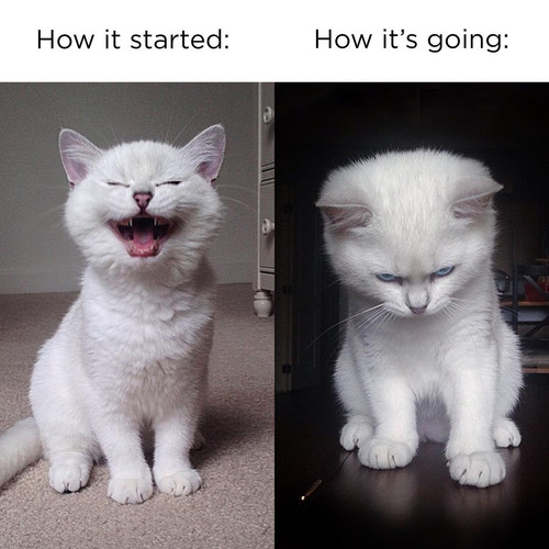 121555222 388570225605647 369675210527271211 n.jpg