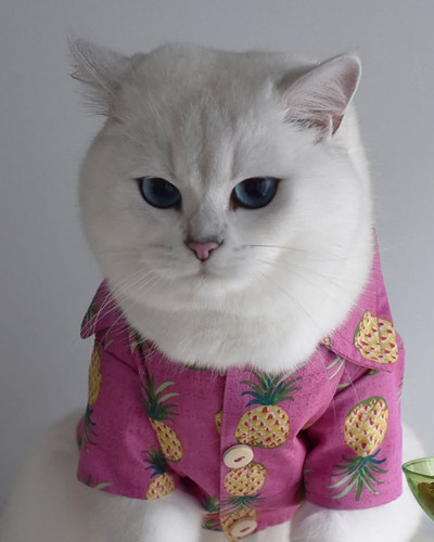 472934249 18475972720065165 6167430419949395912 n.jpg