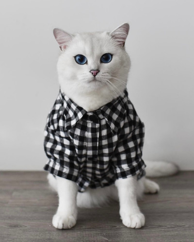 482145846 18484950451065165 4769719057956196651 n.jpg