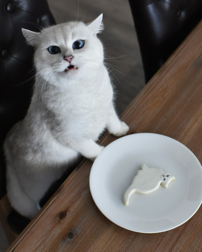 476414694 18481483714065165 3430368383227422678 n.jpg