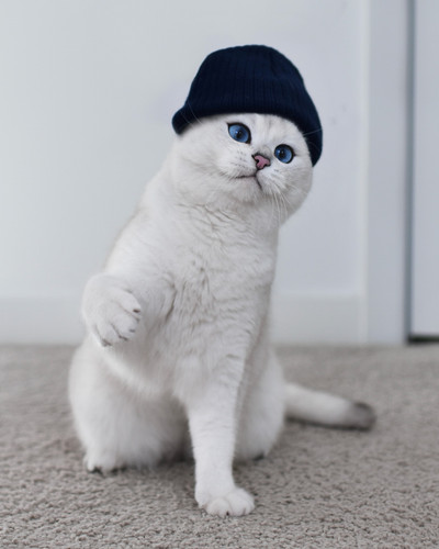 479714299 18483139588065165 4327879713993504406 n.jpg