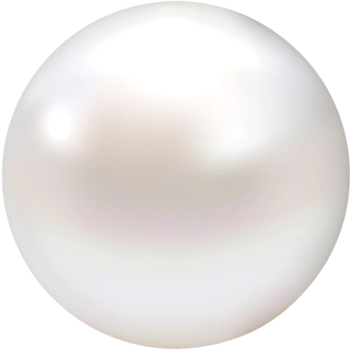 未命名图片 2026.02.11.png