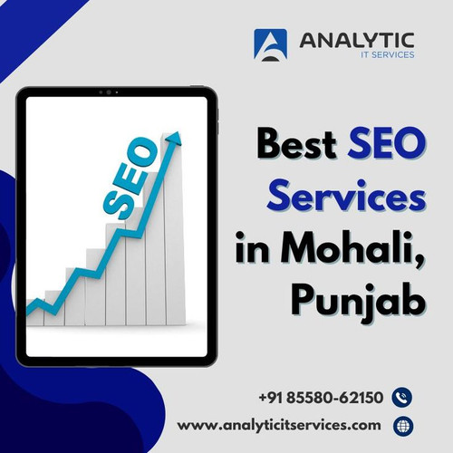 Best seo services in mohali.jpg