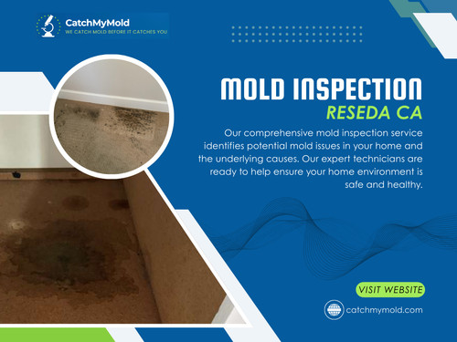 This is why Black mold inspection Reseda CA often starts with odor complaints that homeowners cannot quite explain.

Catch My Mold
Address: 6625 Reseda Blvd #230, Reseda, CA 91335
Phone: (818) 350-7467

Read Our Blogs:

https://is.gd/KvIaXw
https://is.gd/YZLUkX
https://is.gd/i7Bkc5

More Links:

https://tinyurl.com/2b3yf77n
https://tinyurl.com/297a9nct
https://tinyurl.com/22zry3rl
