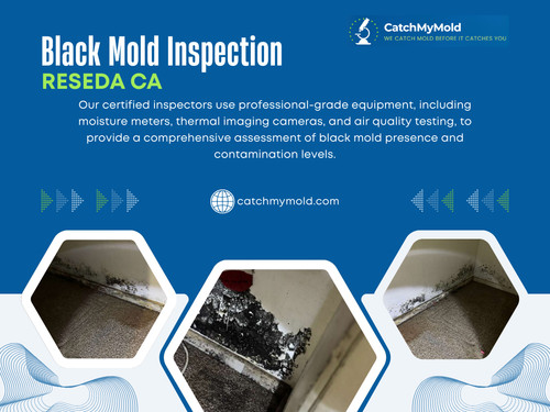 This delayed visibility is why professional Black mold inspection Reseda CA is critical, even when no obvious mold is present.

Catch My Mold
Address: 6625 Reseda Blvd #230, Reseda, CA 91335
Phone: (818) 350-7467

Read Our Blogs:

https://is.gd/KvIaXw
https://is.gd/YZLUkX
https://is.gd/i7Bkc5

More Links:

https://tinyurl.com/2b3yf77n
https://tinyurl.com/297a9nct
https://tinyurl.com/22zry3rl