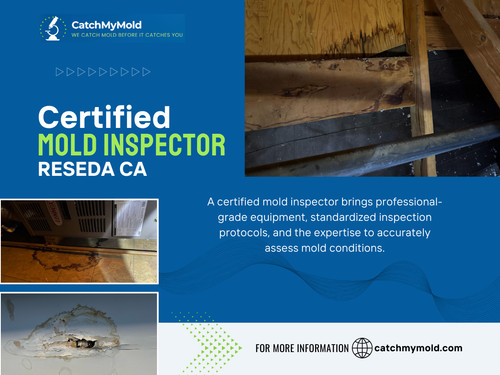 A Certified mold inspector Reseda CA understands how these materials age and where mold is most likely to develop inside them.

Catch My Mold
Address: 6625 Reseda Blvd #230, Reseda, CA 91335
Phone: (818) 350-7467

Read Our Blogs:

https://is.gd/KvIaXw
https://is.gd/YZLUkX
https://is.gd/i7Bkc5

More Links:

https://tinyurl.com/2b3yf77n
https://tinyurl.com/297a9nct
https://tinyurl.com/22zry3rl
