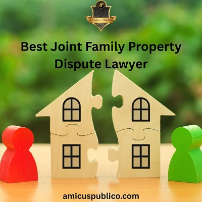Best Joint Family Property Dispute Lawyer.jpg
