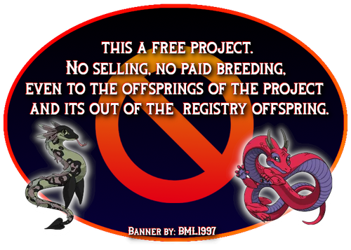 challenge yourself free project rules