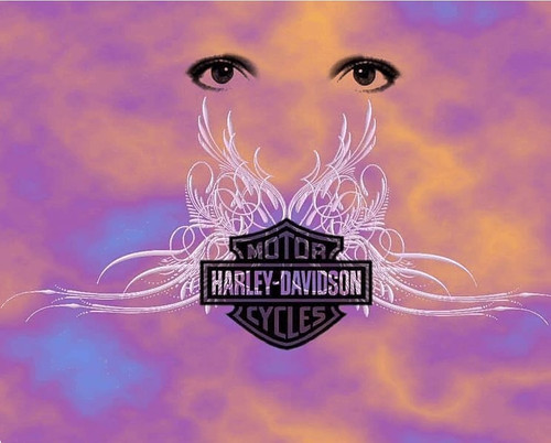 cccd0045 1a8f 47fb af25 dfa4c50d96a7.jpg